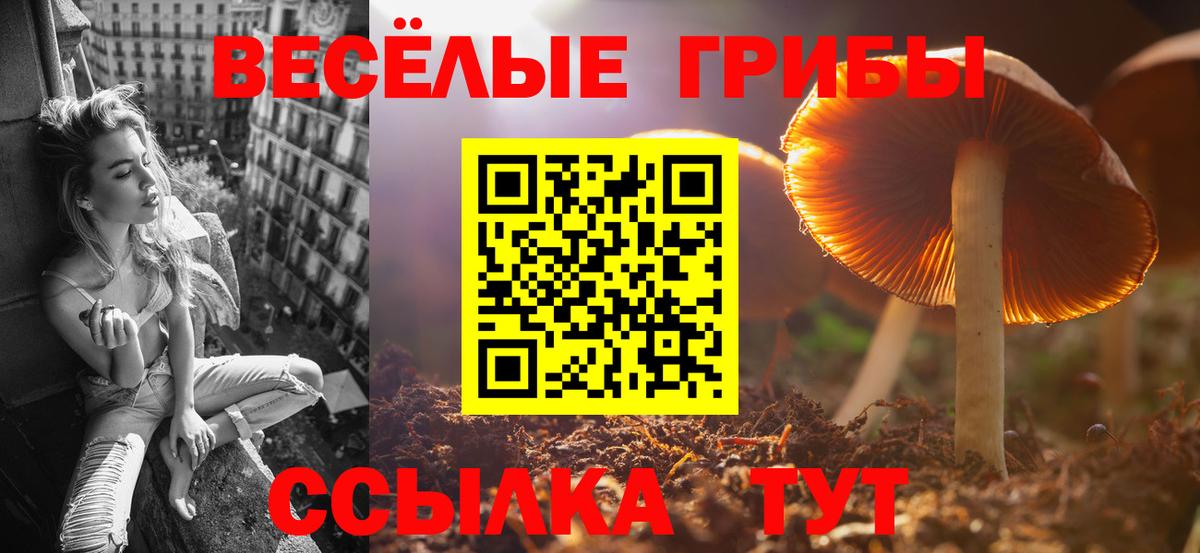 где купить наркоту  Галлюциногенные грибы Magic Shrooms  Вход с VPN  Псилоцибиновые грибы ЛСД  Первоуральск 